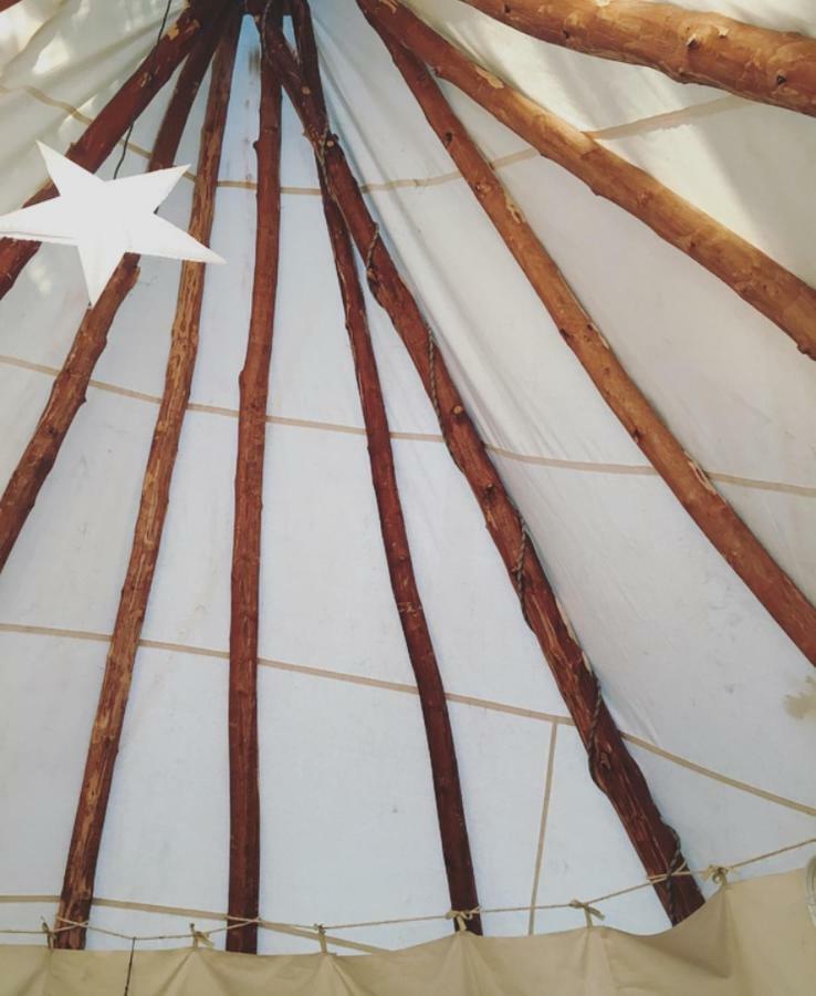 Tipi Lodge Dans La Foret Mimizan-Plage Exterior foto